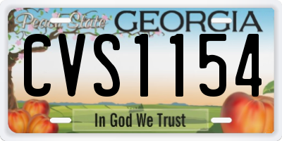 GA license plate CVS1154