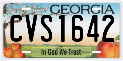 GA license plate CVS1642