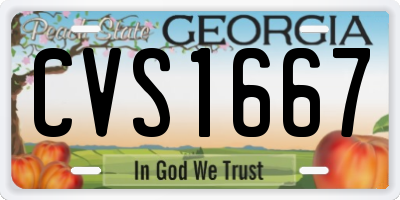 GA license plate CVS1667