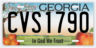 GA license plate CVS1790