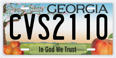 GA license plate CVS2110