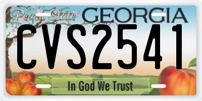 GA license plate CVS2541