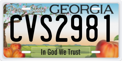 GA license plate CVS2981