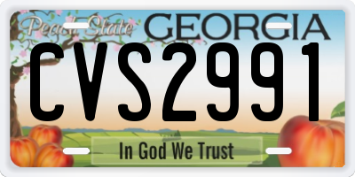 GA license plate CVS2991