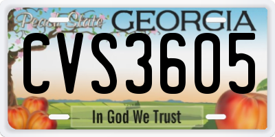 GA license plate CVS3605