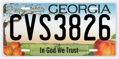 GA license plate CVS3826