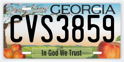 GA license plate CVS3859