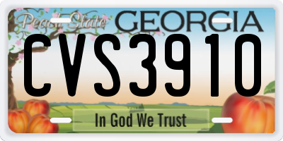 GA license plate CVS3910