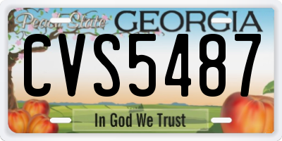 GA license plate CVS5487