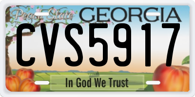 GA license plate CVS5917