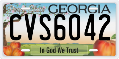GA license plate CVS6042