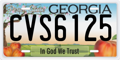 GA license plate CVS6125