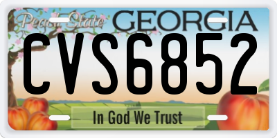 GA license plate CVS6852