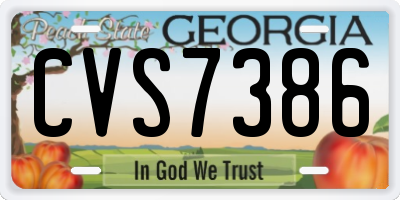 GA license plate CVS7386