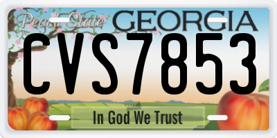 GA license plate CVS7853