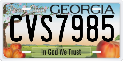 GA license plate CVS7985