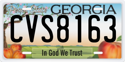 GA license plate CVS8163