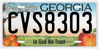 GA license plate CVS8303