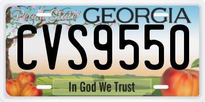GA license plate CVS9550