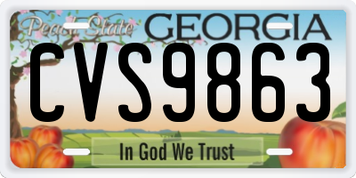 GA license plate CVS9863