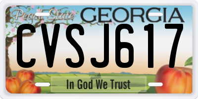 GA license plate CVSJ617