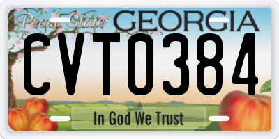 GA license plate CVT0384