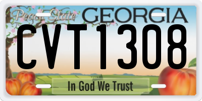 GA license plate CVT1308