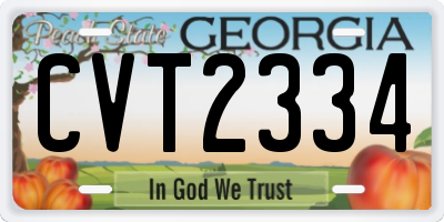 GA license plate CVT2334
