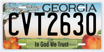 GA license plate CVT2630