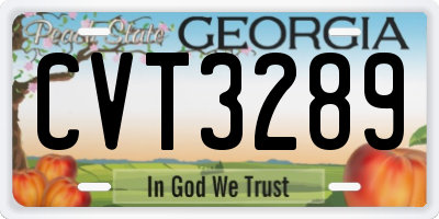 GA license plate CVT3289