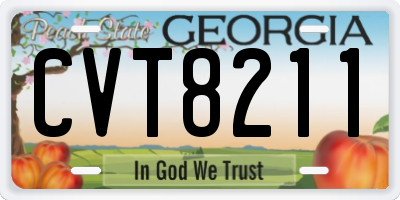 GA license plate CVT8211