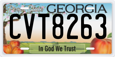GA license plate CVT8263