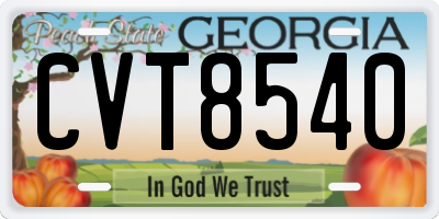 GA license plate CVT8540