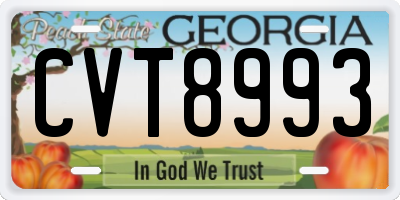 GA license plate CVT8993