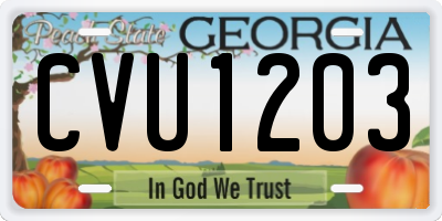 GA license plate CVU1203