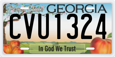 GA license plate CVU1324