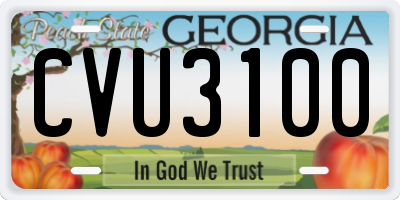 GA license plate CVU3100