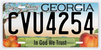GA license plate CVU4254