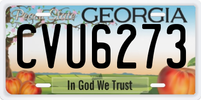 GA license plate CVU6273
