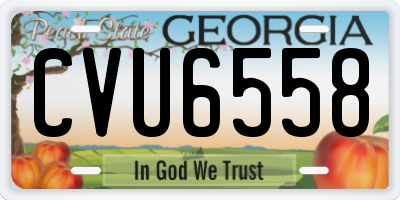 GA license plate CVU6558