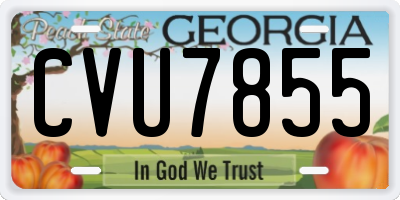 GA license plate CVU7855