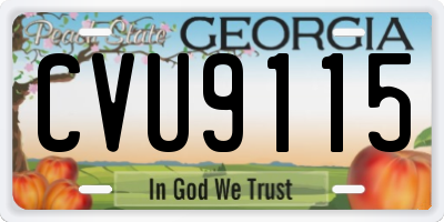 GA license plate CVU9115