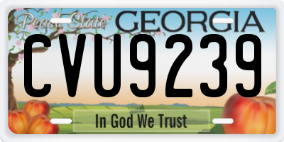 GA license plate CVU9239