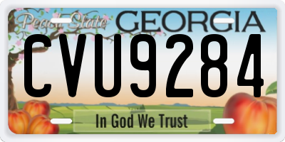 GA license plate CVU9284