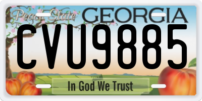 GA license plate CVU9885