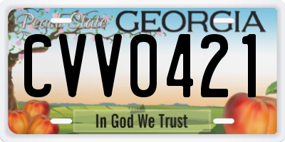 GA license plate CVV0421