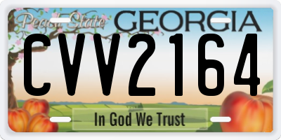 GA license plate CVV2164