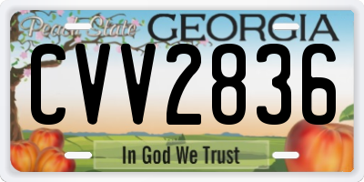 GA license plate CVV2836