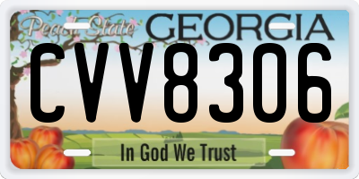 GA license plate CVV8306