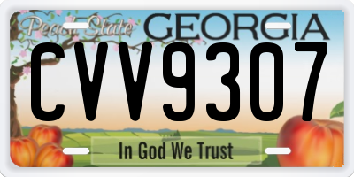 GA license plate CVV9307
